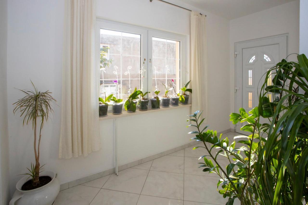 Villa Milenka - Apartmani Gorana Tucepi Ngoại thất bức ảnh